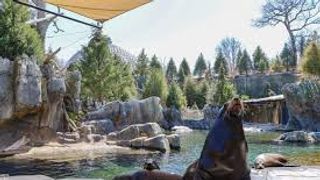 Omaha’s Henry Doorly Zoo and Aquarium Ranked No. 1 as a Must-See Destination (live in Nebraska)