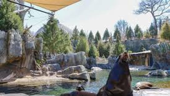 Omaha’s Henry Doorly Zoo and Aquarium Ranked No. 1 as a Must-See Destination (live in Nebraska)